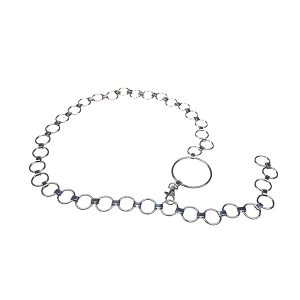 Coin Chain O Ring Dresses Decoration Women Adjustable Chain Belts